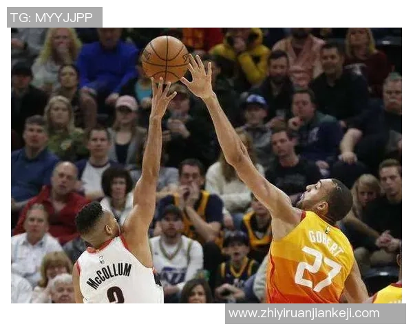 鲁迪戈贝尔的篮球传奇之路与未来发展展望